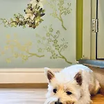 Muddy Boots-arcade Royale Semesterbostad