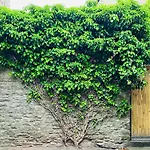 Muddy Boots-arcade Royale Semesterbostad