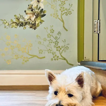 Muddy Boots-arcade Royale Feriehus