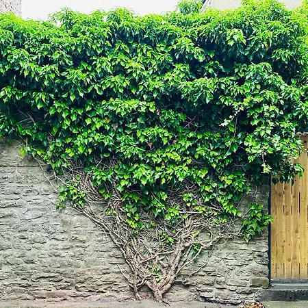 Muddy Boots-arcade Royale Feriehus